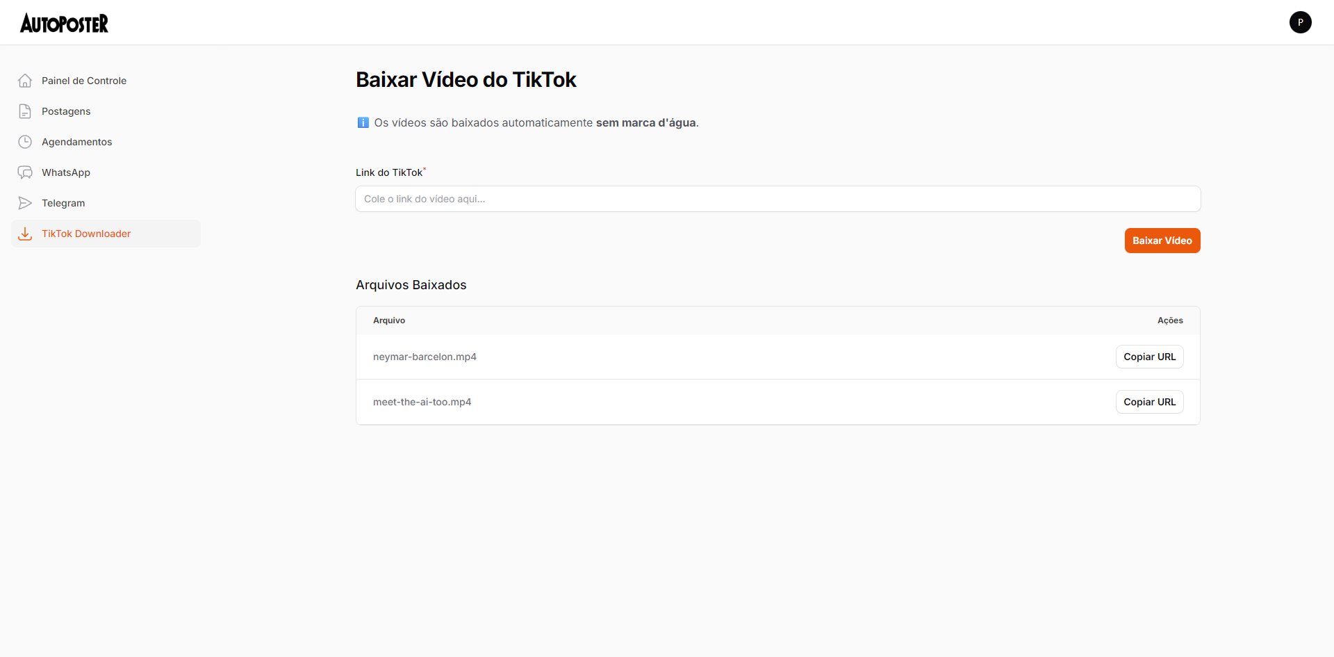 Tela do TikTok Downloader
